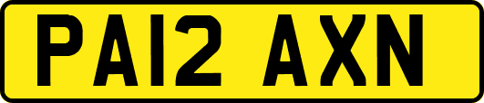 PA12AXN