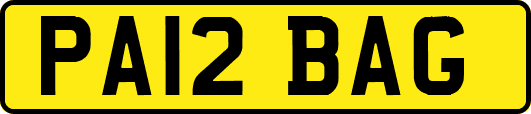 PA12BAG