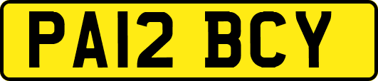 PA12BCY