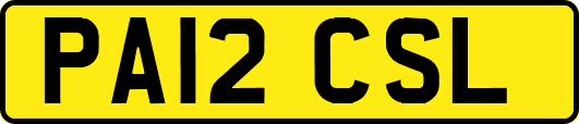 PA12CSL