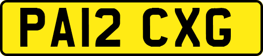PA12CXG