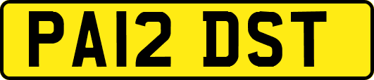 PA12DST