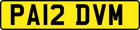 PA12DVM