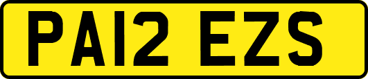 PA12EZS