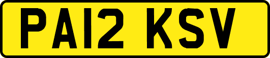 PA12KSV