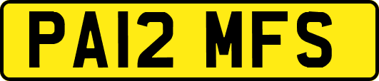 PA12MFS