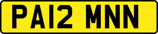PA12MNN