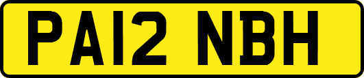 PA12NBH