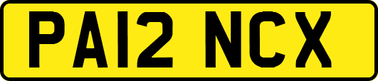 PA12NCX