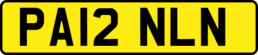 PA12NLN