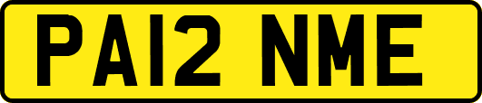 PA12NME