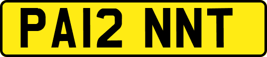 PA12NNT