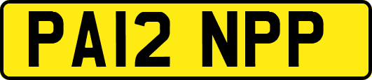 PA12NPP