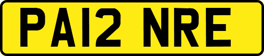 PA12NRE