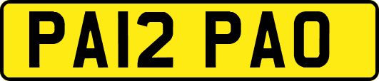 PA12PAO