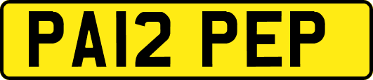 PA12PEP