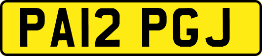 PA12PGJ