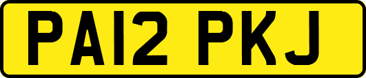 PA12PKJ