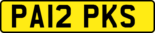 PA12PKS