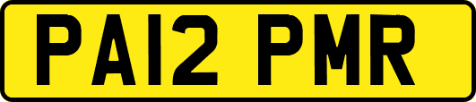 PA12PMR