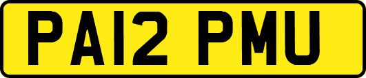 PA12PMU