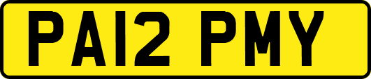 PA12PMY