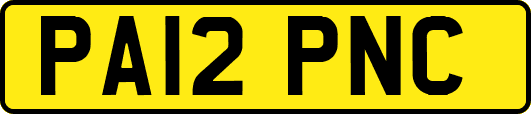 PA12PNC