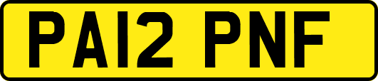 PA12PNF