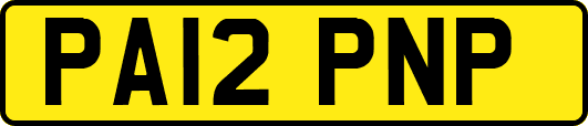 PA12PNP