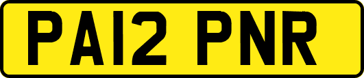 PA12PNR
