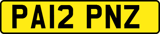 PA12PNZ