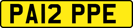 PA12PPE