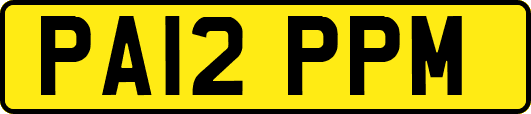 PA12PPM