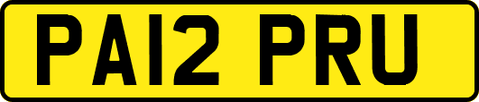 PA12PRU