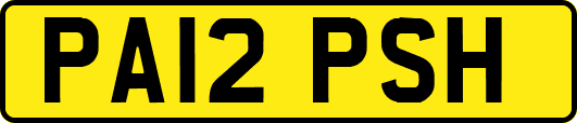 PA12PSH