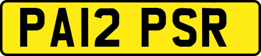 PA12PSR