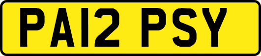 PA12PSY
