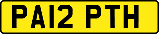 PA12PTH