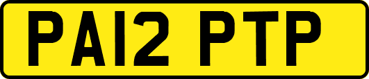 PA12PTP