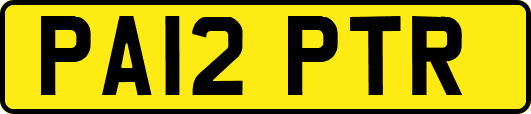 PA12PTR