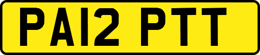 PA12PTT