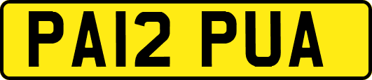 PA12PUA