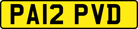 PA12PVD