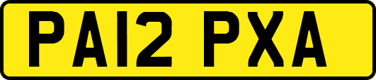 PA12PXA