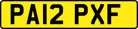 PA12PXF