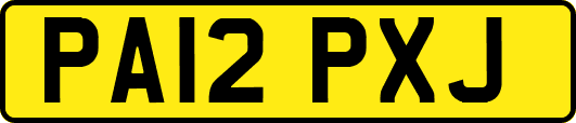 PA12PXJ