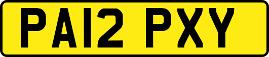 PA12PXY