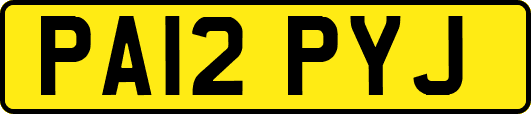 PA12PYJ