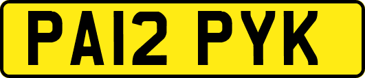 PA12PYK