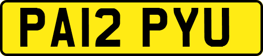 PA12PYU